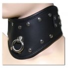 Нашийник photo 1