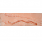 Бюст. Реалистичный. Материал - силикон. Водонепроницаемый. photo 6