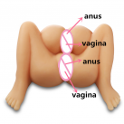 Мастурбатор с 4 отврестиями photo 2