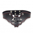 Кожанный воротник-ошейник photo 3