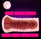 Мастурбатор чоловічий. Силікон. photo 1