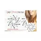 Наклейки для бюста - пестіси EROTIC FANTASY CRYSTAL FLOWER photo 2