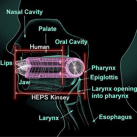 Мужской оральный мастурбатор photo 5