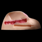 Супер реалистичный мастурбатор для вагинального и анального секса photo 6