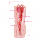 Мастурбатор оральный реалистинчый 4D photo 3