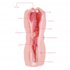 Мастурбатор для мужчин. Реалистичный. Силикон. photo 3