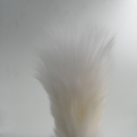 Анальная пробка силиконовая с хвостиком photo 1