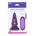Анальная пробка. 10 режимов. С вибрацией. photo 1