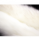 Анальна пробка с хвостом photo 3