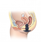 Анальная пробка-очиститель ZCZ photo 4