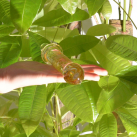 Cтеклянный фаллоимитатор photo 6