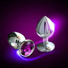 Металлическая анальная пробка Anal Plug BACK DOOR G SPOT  photo 1