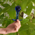 Фаллоимитатор. Стекло. photo 1