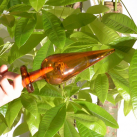 Фаллоимитатор. Стекло. 6,5 м см диаметр. photo 1