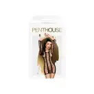 Мінісукня Penthouse Bedtime Surprise S/L Black, велика сітка, рукави, вертикальні вставки photo 3