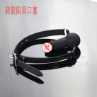 Кляп с фаллосом photo 1