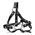 Кляп-расширитель photo 4