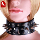 Ошейник с шипами 510х50 мм  photo 2