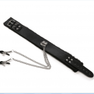 Ошейник с зажимами для сосков photo 2