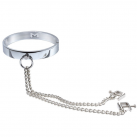 Ошейник с зажимами для сосков. Металл. photo 1