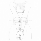 Мягкий кожаный бондаж Armbinders для рук, 2 цвета photo 5