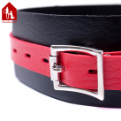 Ошейник Davidsource 540 мм photo 1