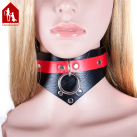 Кожаный ошейник Davidsource, 540 мм photo 2