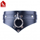 Кожаный ошейник Davidsource, 540 мм photo 1