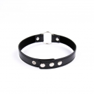 Ошейники photo 1