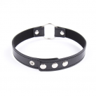 Ошейник photo 4