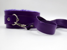 Ошейник с поводком. Плюшевый. photo 3