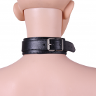 Ошейники с зажимами для сосков photo 1