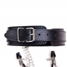 Ошейники с зажимами для сосков photo 4