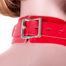 Ошейник с кольцом. Кожа. photo 5