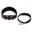 Ошейники 2 цвета photo 4