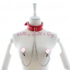 Ошейник с зажимами для сосков photo 2