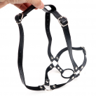 Кляп-расширитель на ремнях IKOKY  photo 5