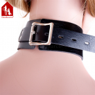 Ошейник с кольцом Davidsource 490*50 мм  photo 4