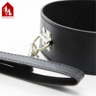 Ошейник с поводком Davidsource  photo 1