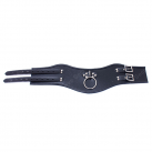 Ошейник с кольцом. photo 1