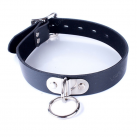 Ошейник с кольцом. photo 5