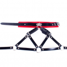 Кожаный бюстгальтер с открытой грудью и ошейником photo 5