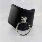 Ошейник с кольцом  photo 2