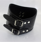 Ошейник с кольцом  photo 3