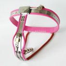 Пояс целомудрия для женщин photo 2