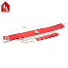 Ошейник с замком Davidsource  photo 1