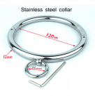 Ошейник из нержавеющей стали с кольцом, 120 мм photo 2