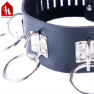 Ошейник Davidsource 470*50 мм  photo 1