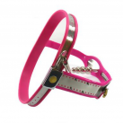 Titanium Женский пояс верности с анальным стимулятором photo 3