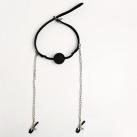 Кляп с ошейником и зажимам для сосков photo 3